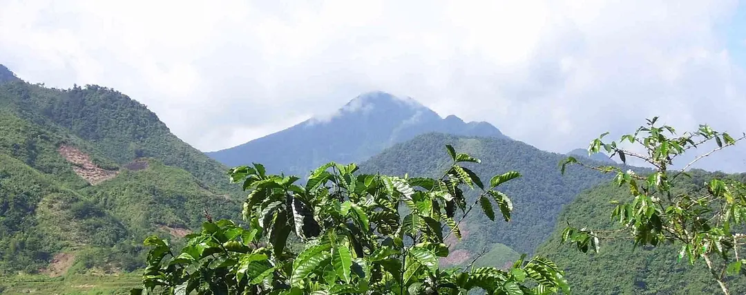 Ambalatungan