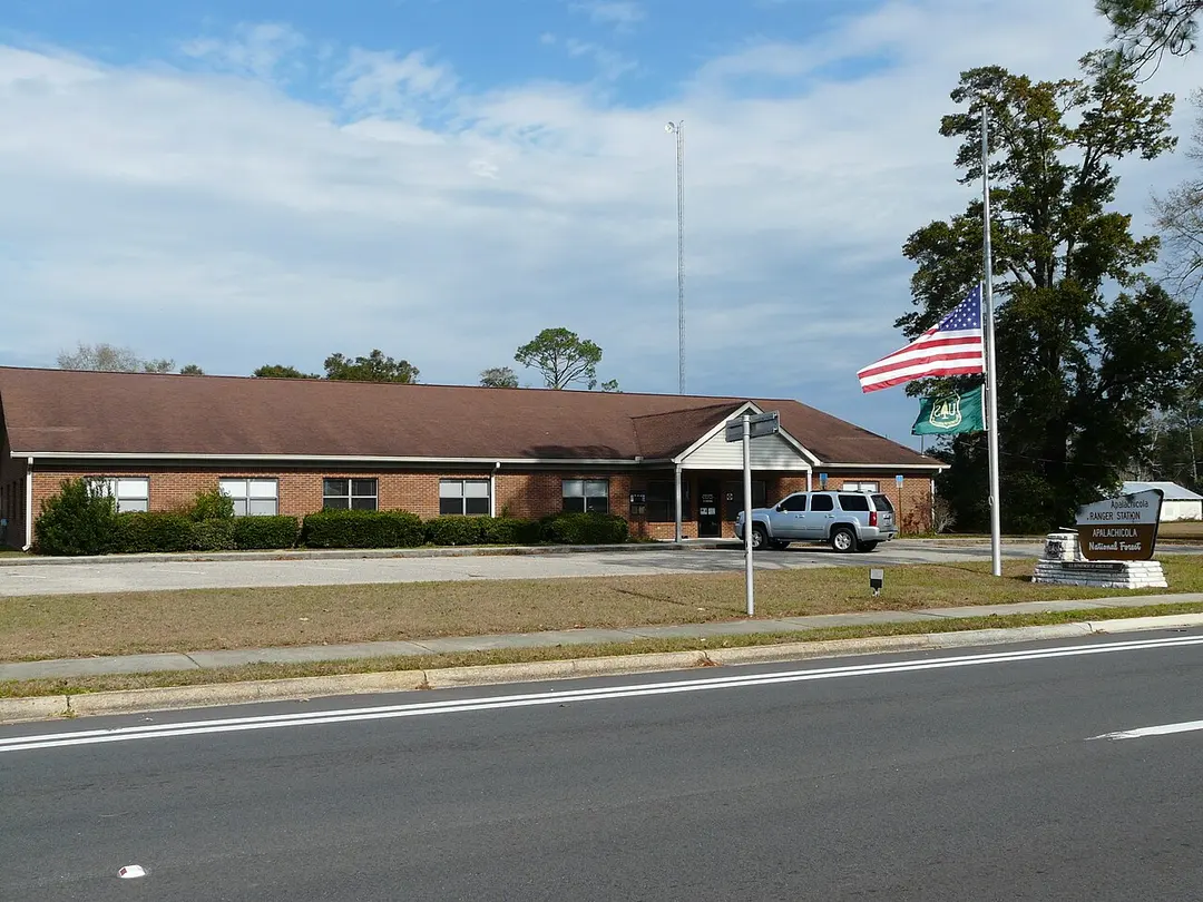 Apalachicola National Forest
