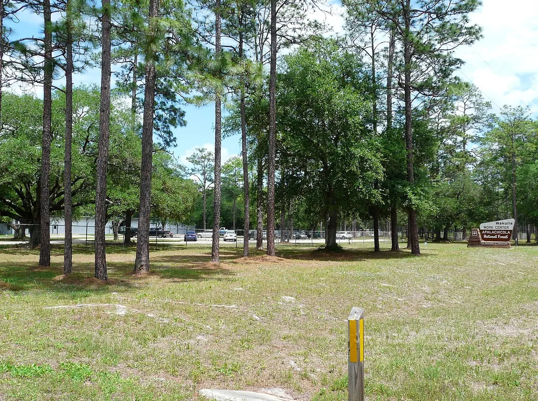 Apalachicola National Forest