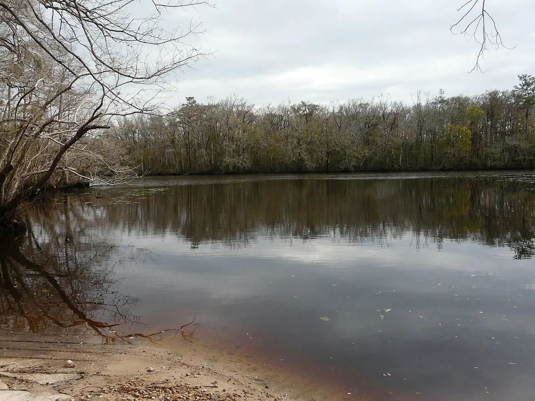 Apalachicola National Forest