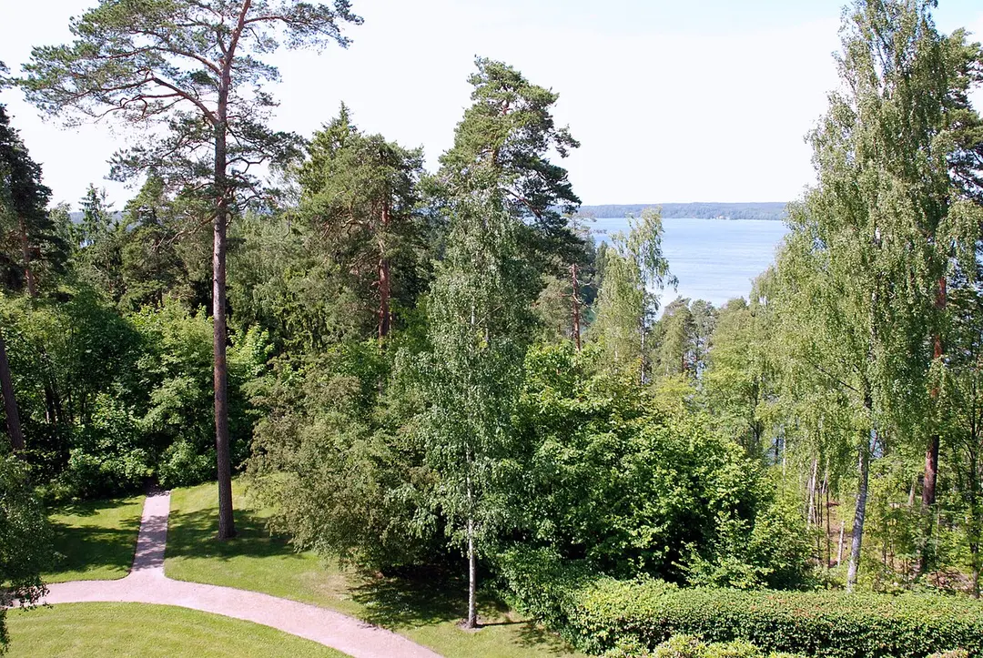 Hvitträsk