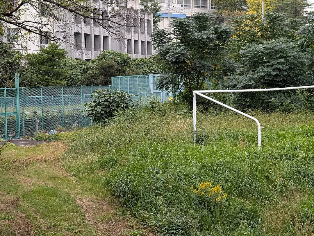 駒沢オリンピック公園総合運動場
