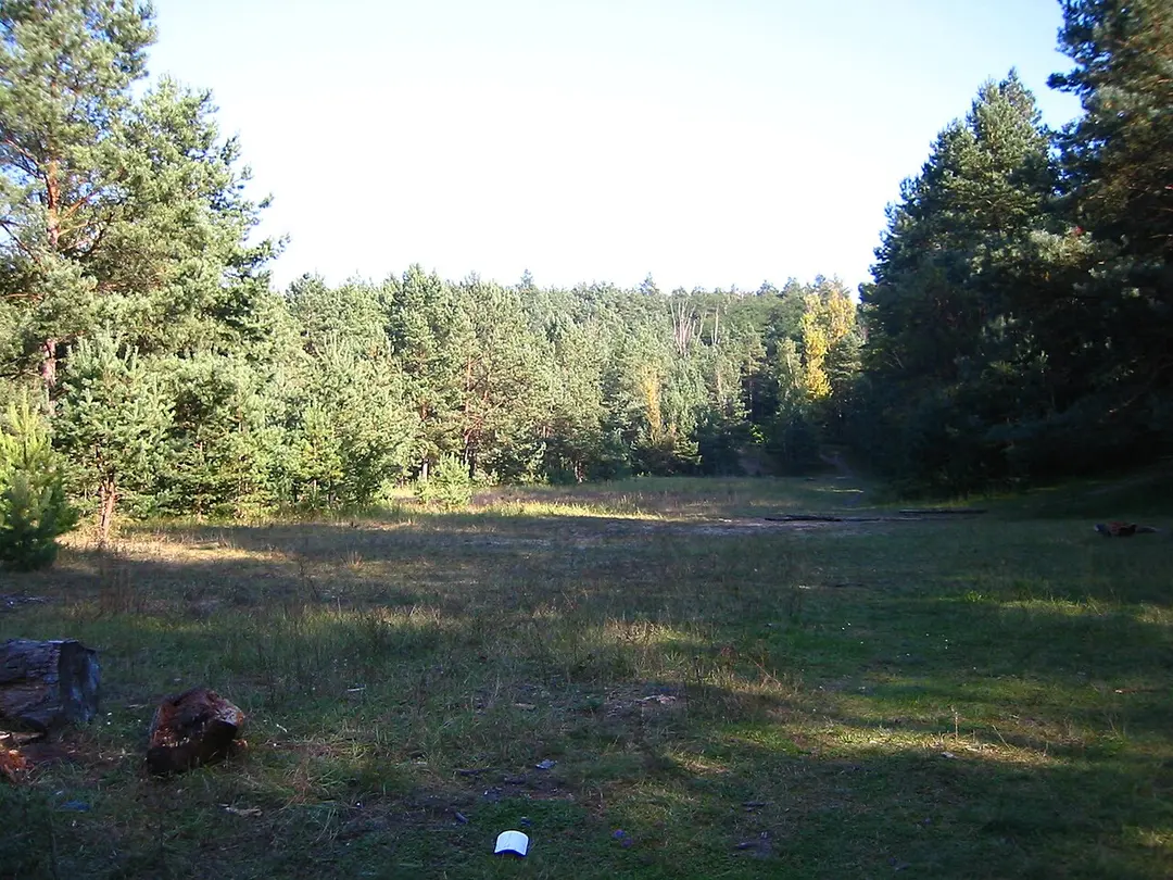 Großer Müggelberg