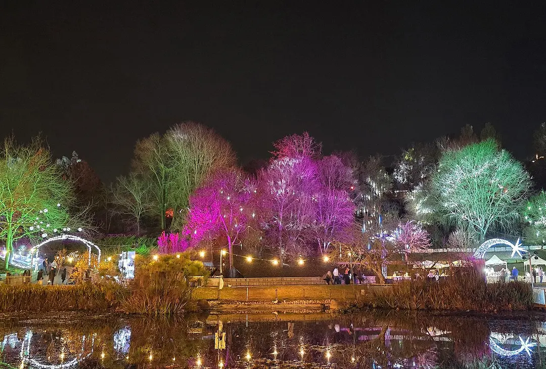 Botanischer Garten