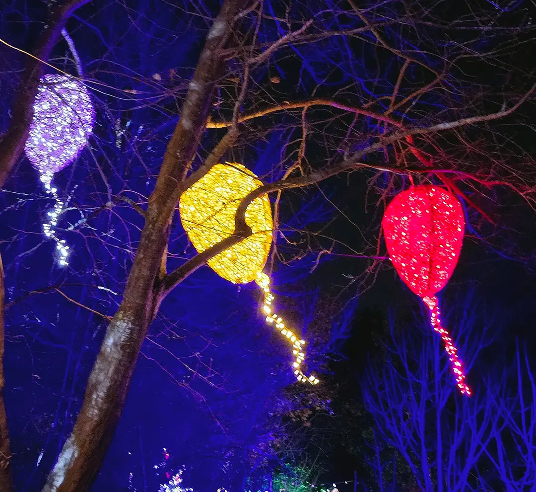 Botanischer Garten