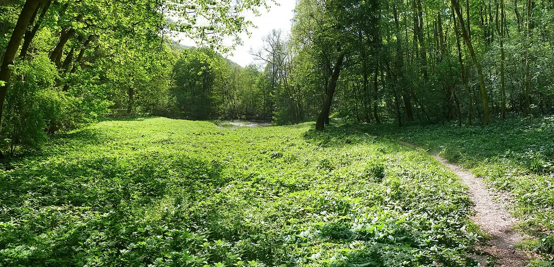 Kernberge und Wöllmisse bei Jena