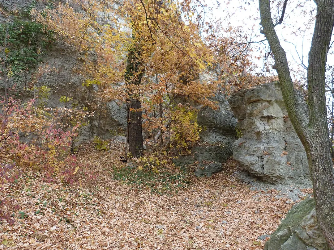 Kernberge und Wöllmisse bei Jena