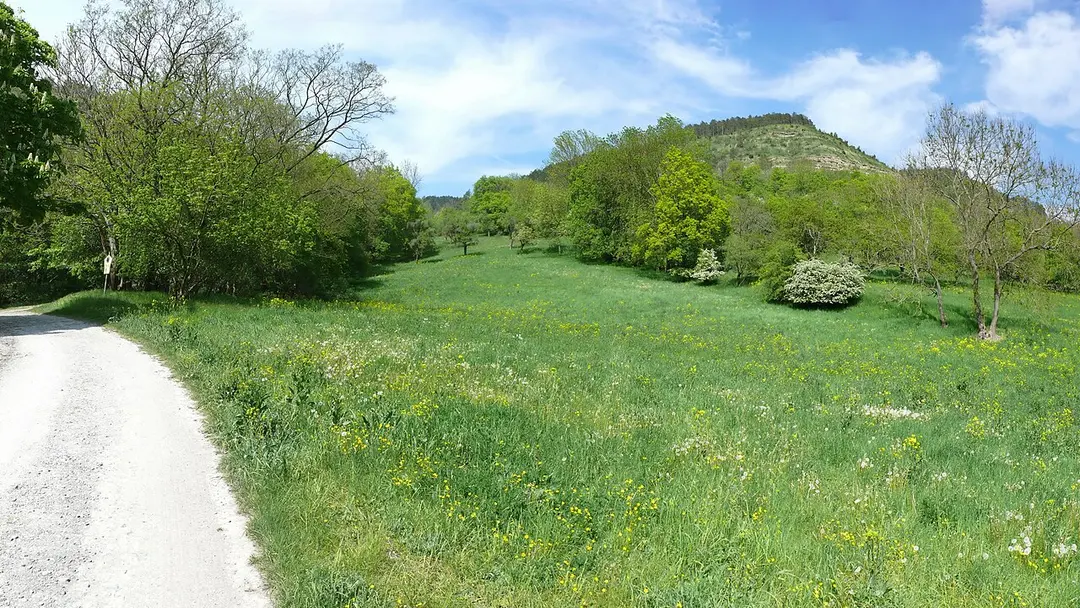 Kernberge und Wöllmisse bei Jena