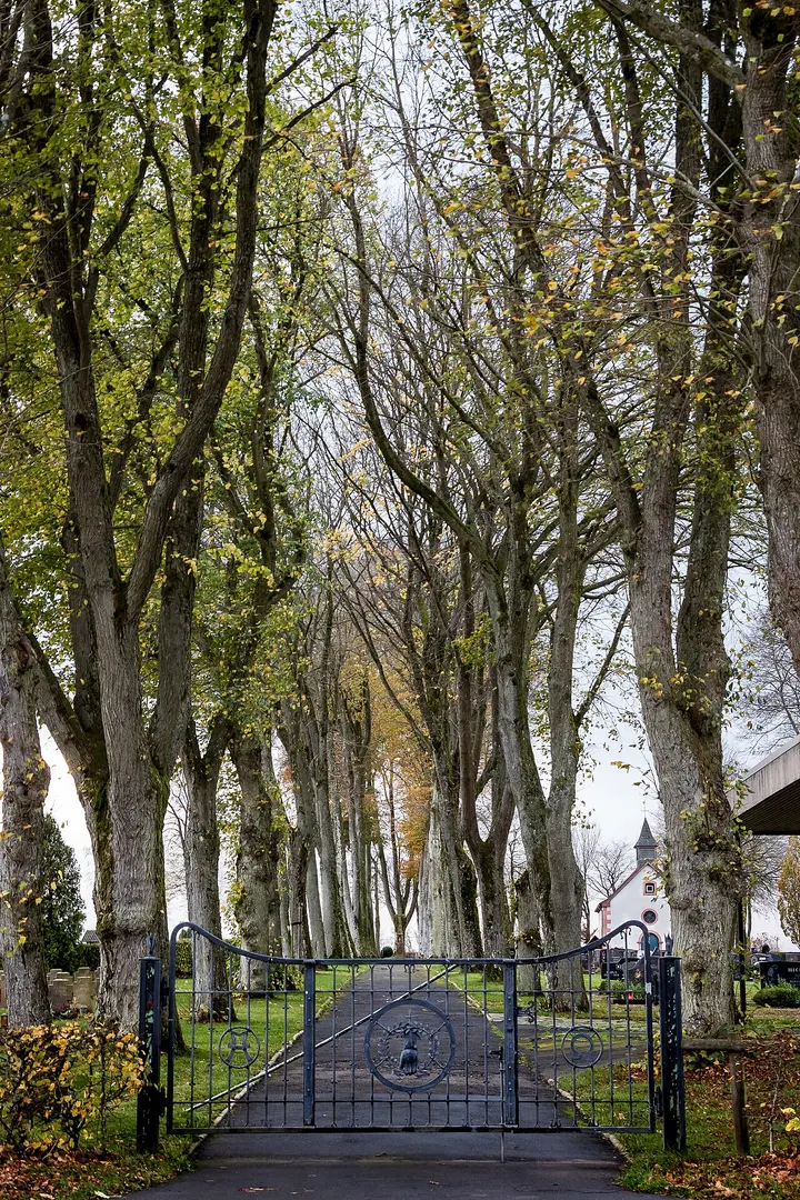 Friedhof Dahlem