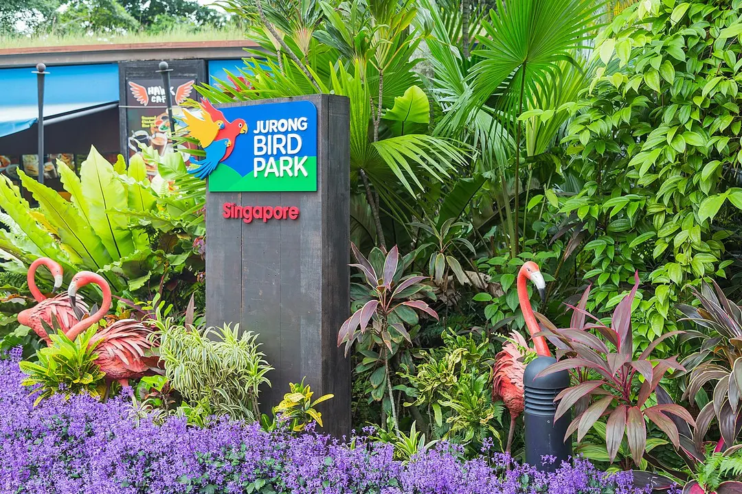 Jurong Bird Park
