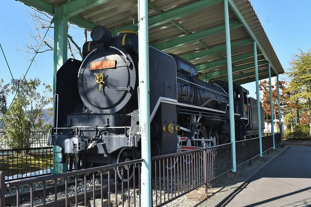 D51-691