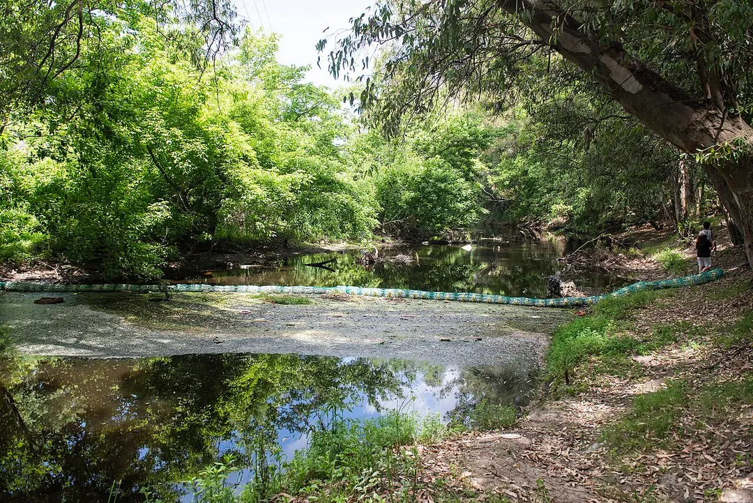 Arroyo Pantanoso