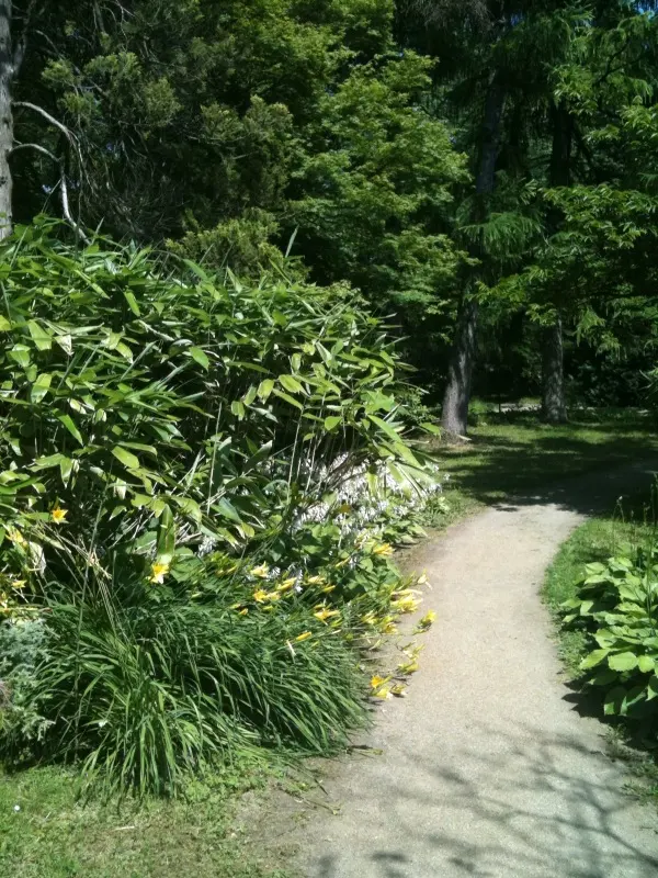 Botanischer Garten der Johannes Gutenberg-Universität Mainz