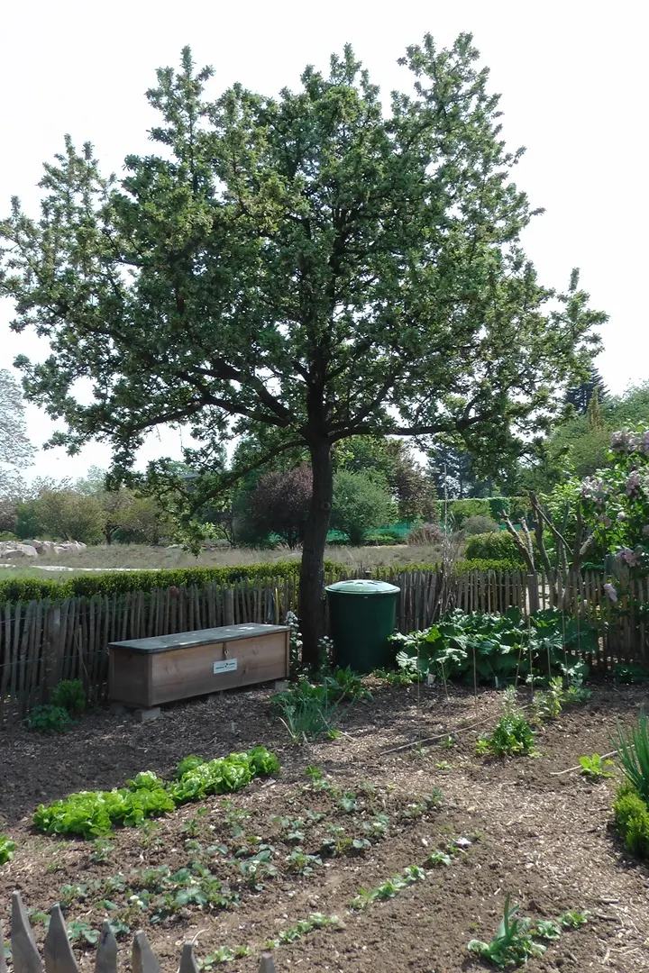 Botanischer Garten der Johannes Gutenberg-Universität Mainz