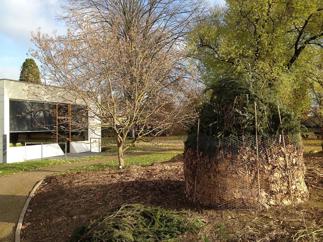 Botanischer Garten der Johannes Gutenberg-Universität Mainz