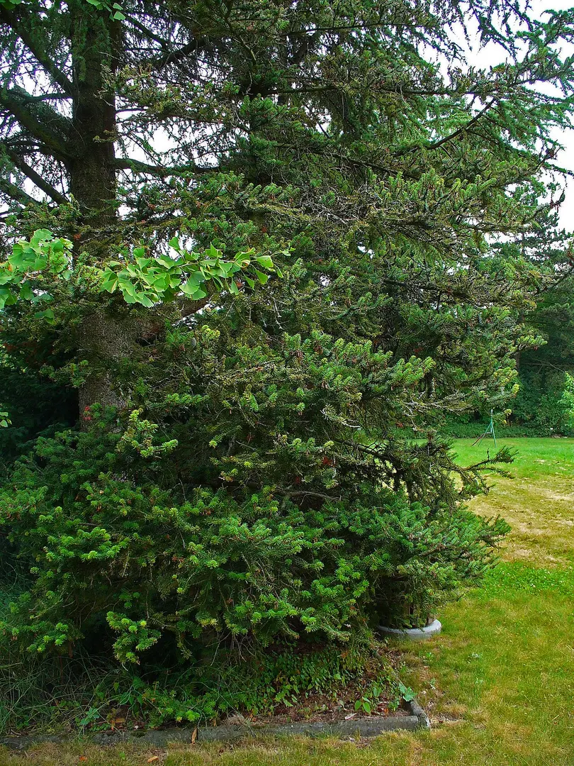 Botanischer Garten des KIT
