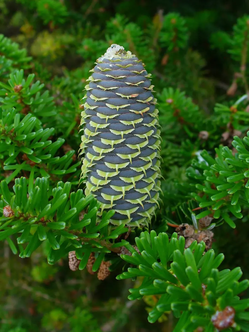 Botanischer Garten des KIT