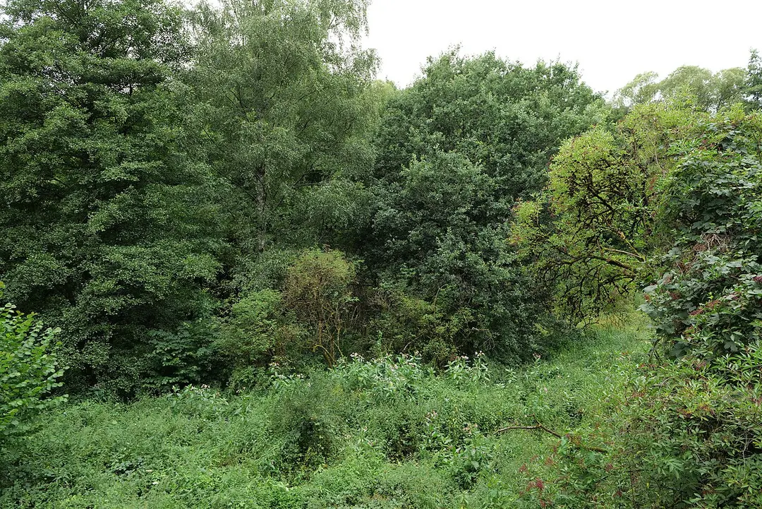 Dattenbachtal zwischen Kröftel und Vockenhausen