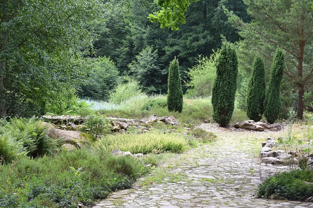 Botanischer Garten