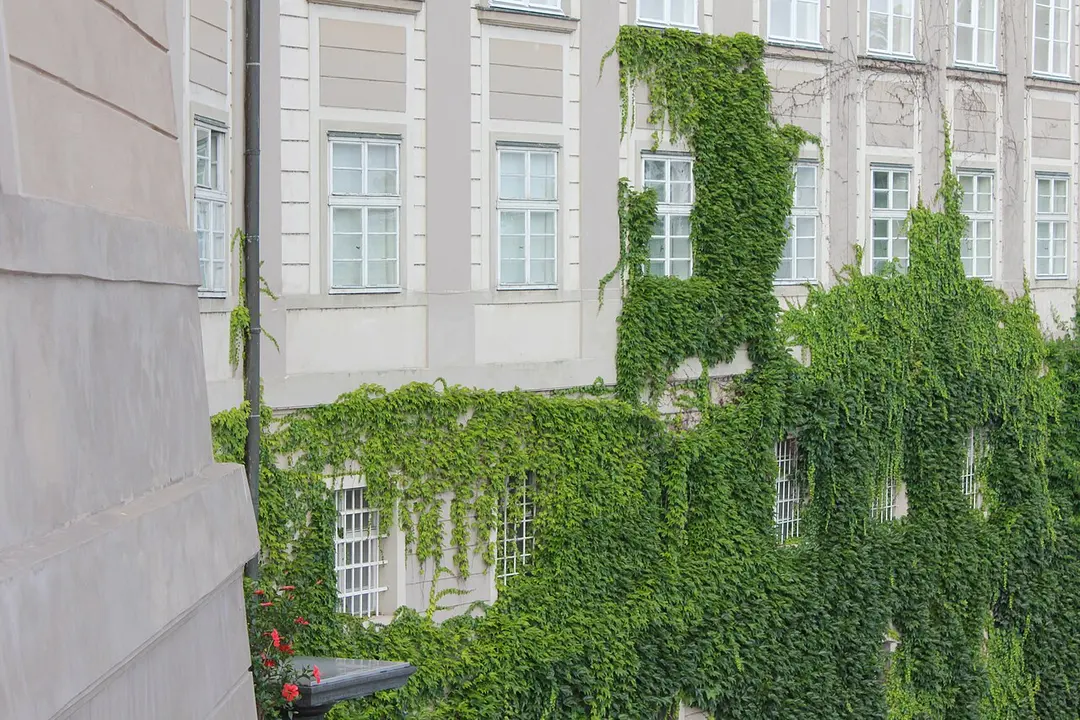 Paradiesgarten
