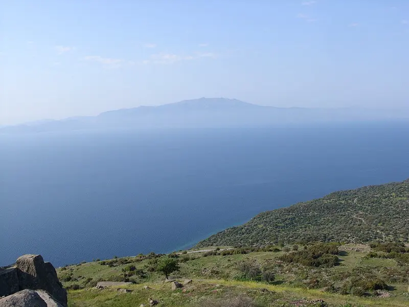Assos