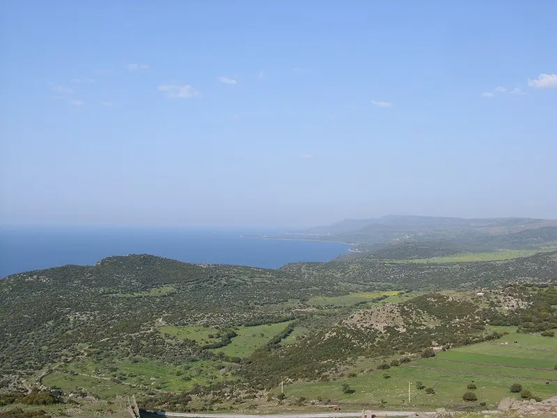 Assos