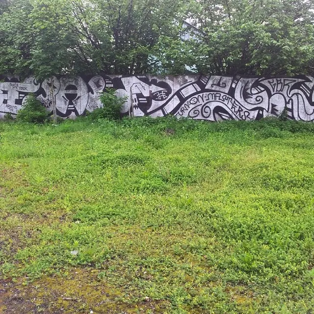 Mokotów Field