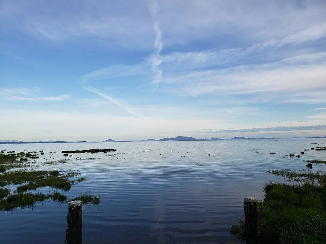 Boundary Bay Wildlife Management Area