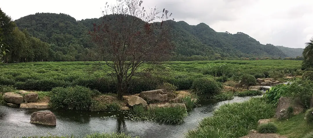 中国茶叶博物馆（双峰馆区）