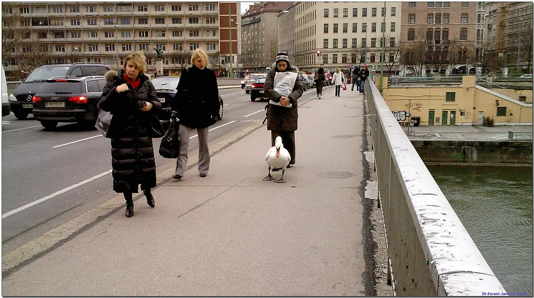 Augartenbrücke