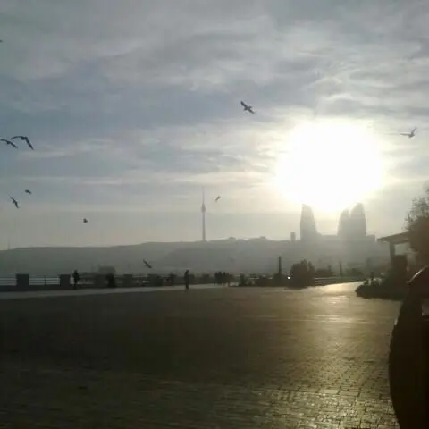 Flame Towers