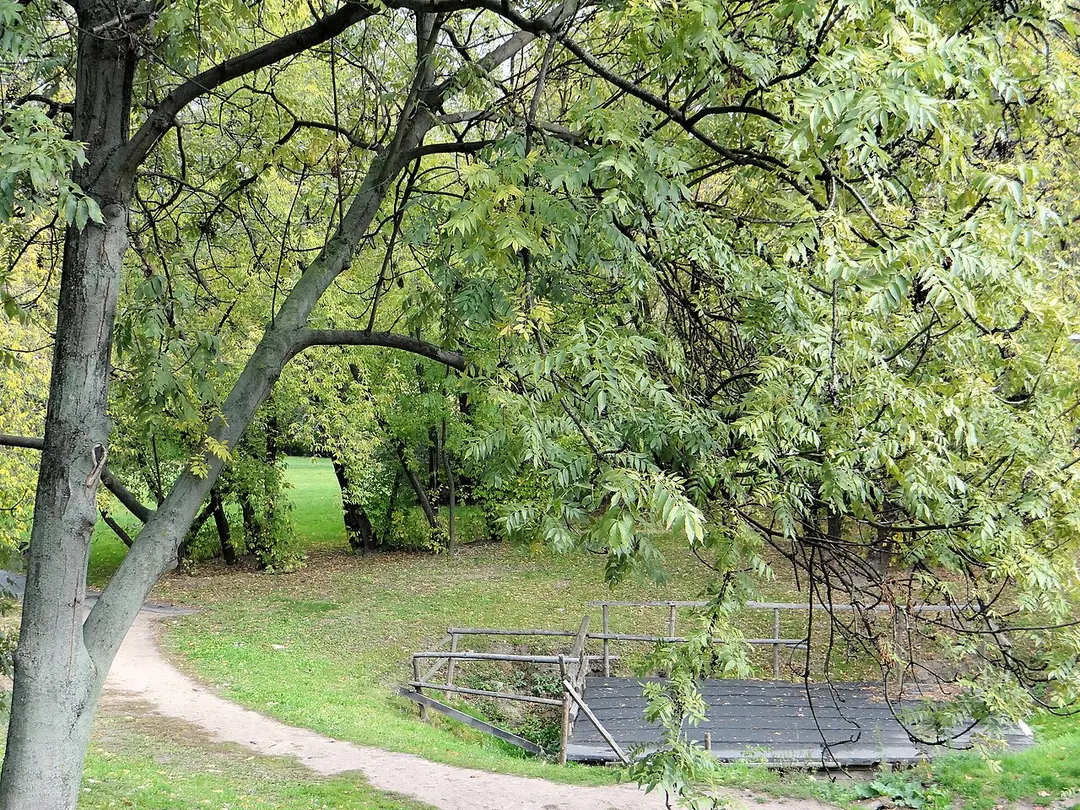 Park Traugutta