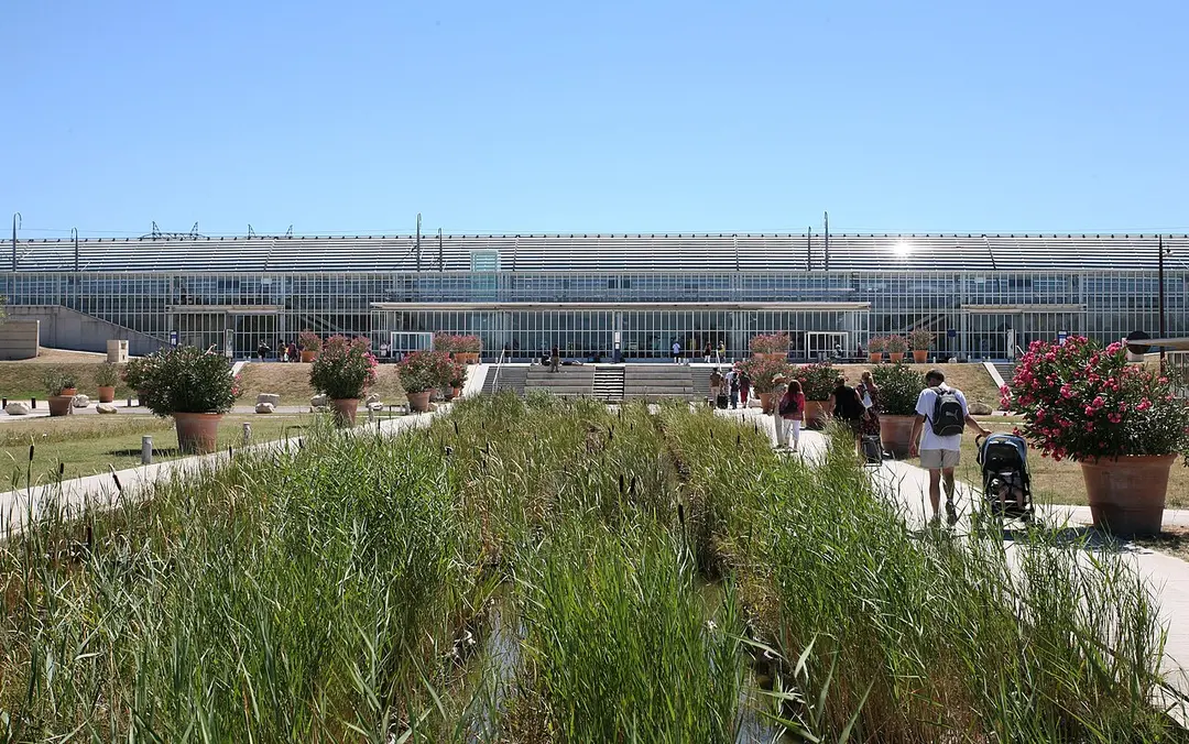 Avignon TGV