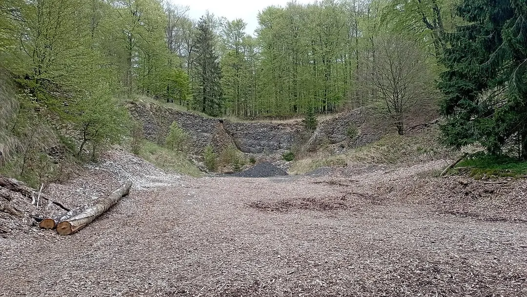 Barnacken