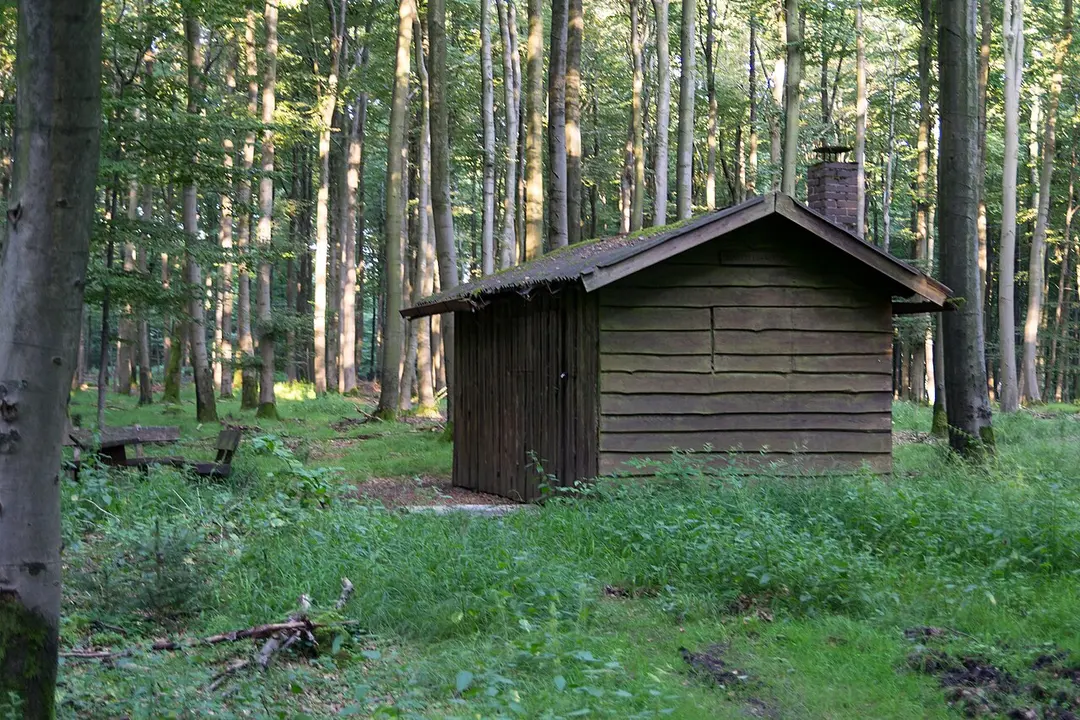Barnacken