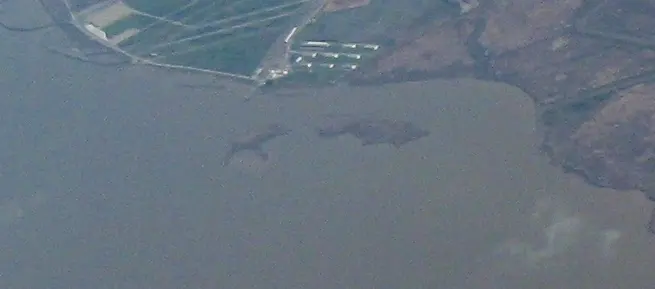 Benicia–Martinez Bridge
