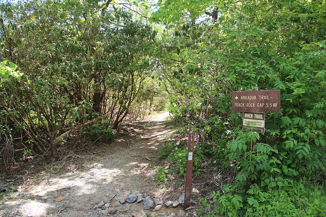 Brasstown Bald