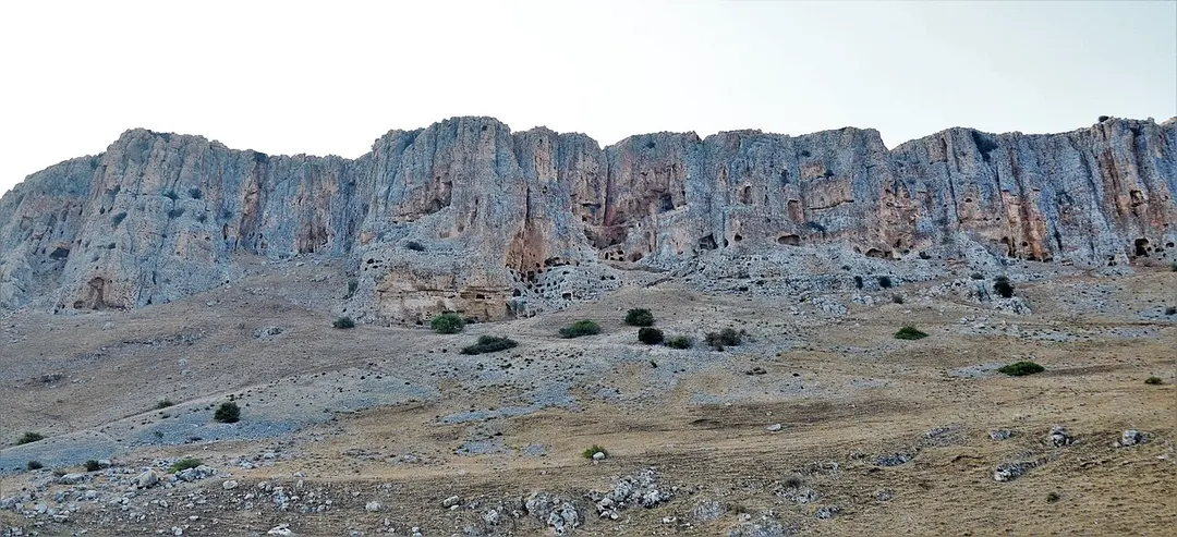 Berg Arbel