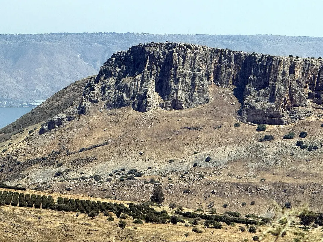 Berg Arbel