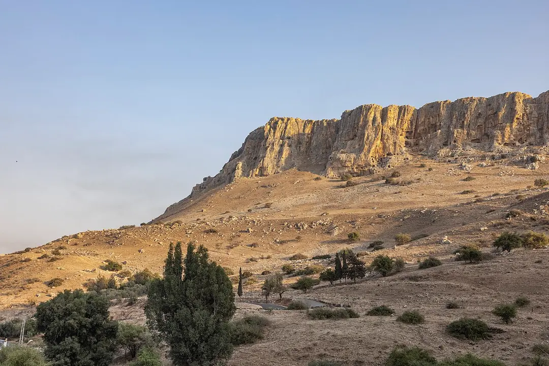 Berg Arbel