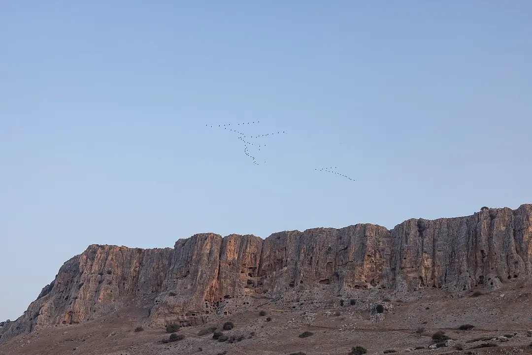 Berg Arbel