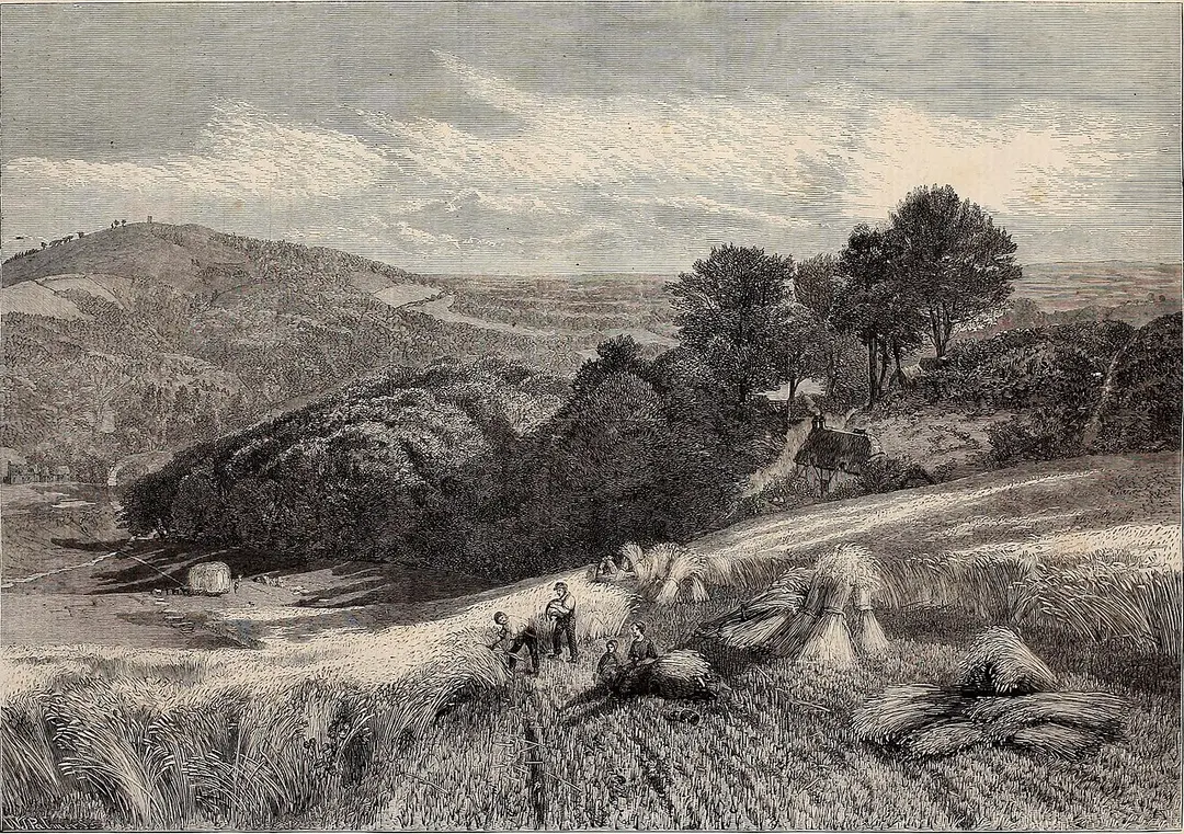 Leith Hill