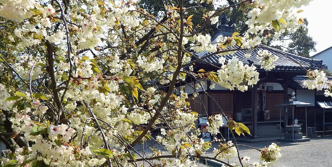 63 Kichijō-ji