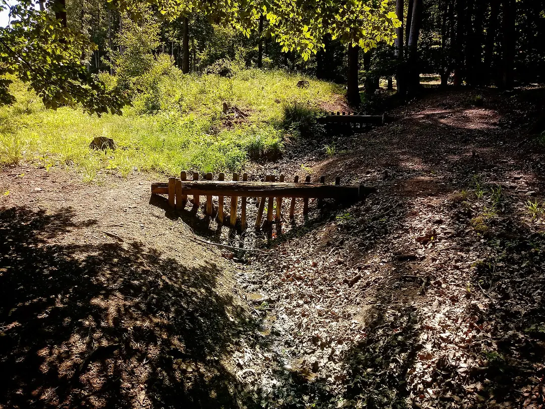 Lainzer Tiergarten