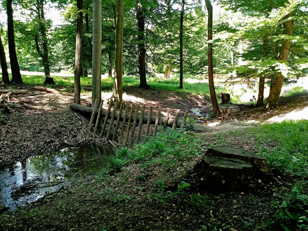 Lainzer Tiergarten