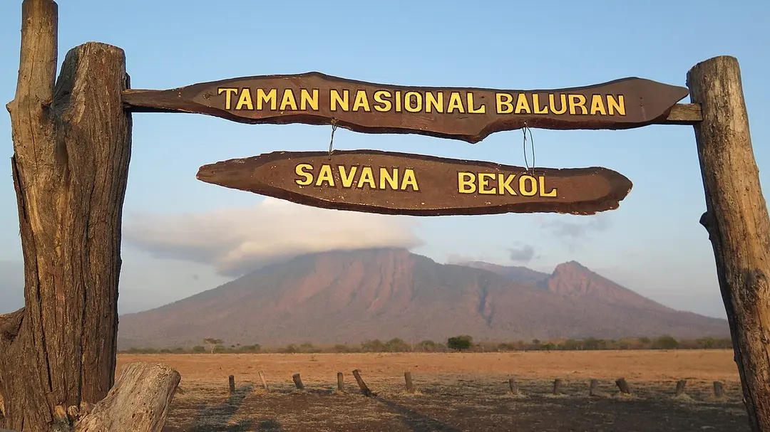 Baluran