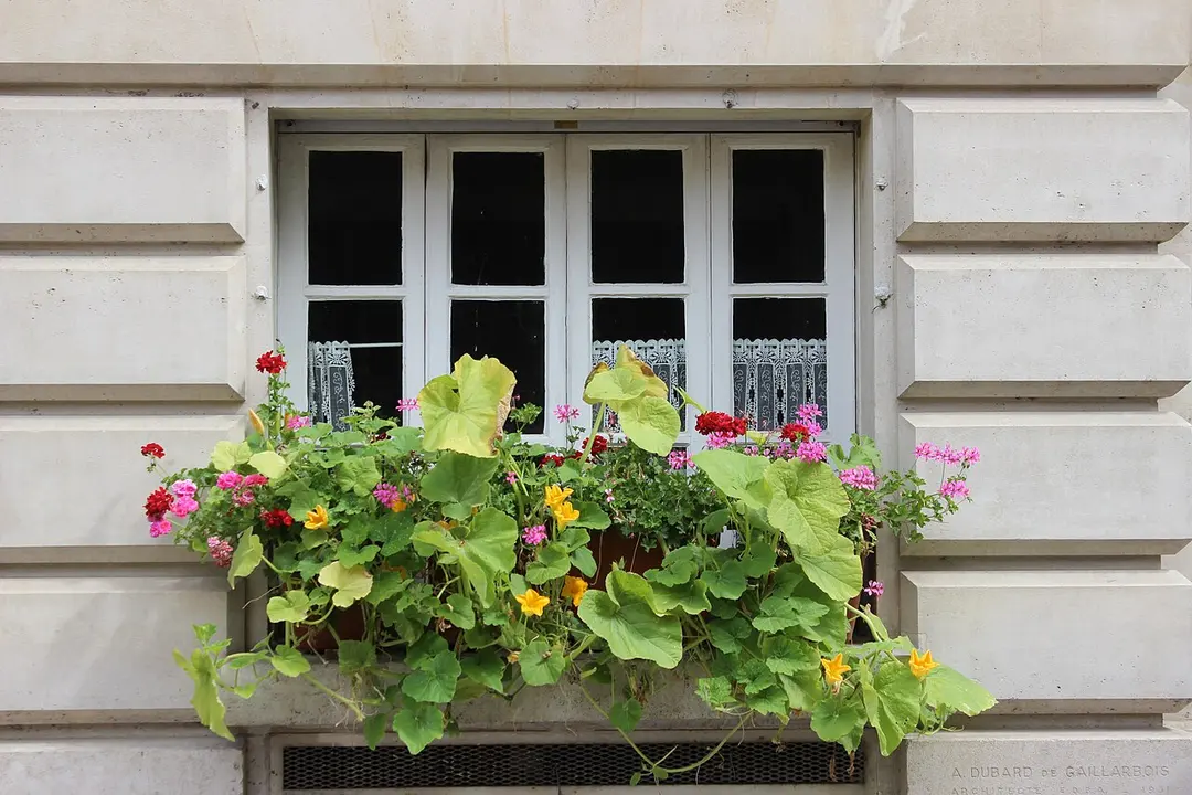 Place Dauphine