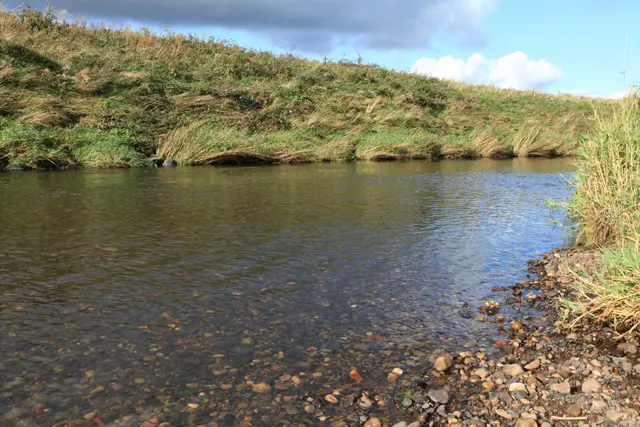 River Almond
