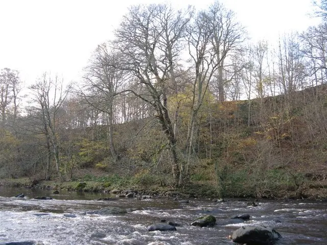River Almond