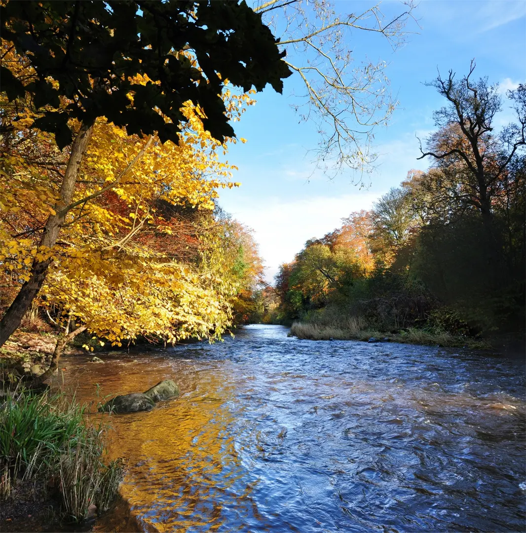 River Almond